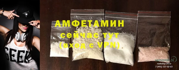 стафф Алзамай