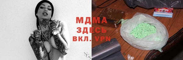 СК Алексин
