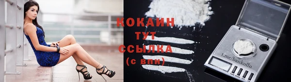 дживик Абаза